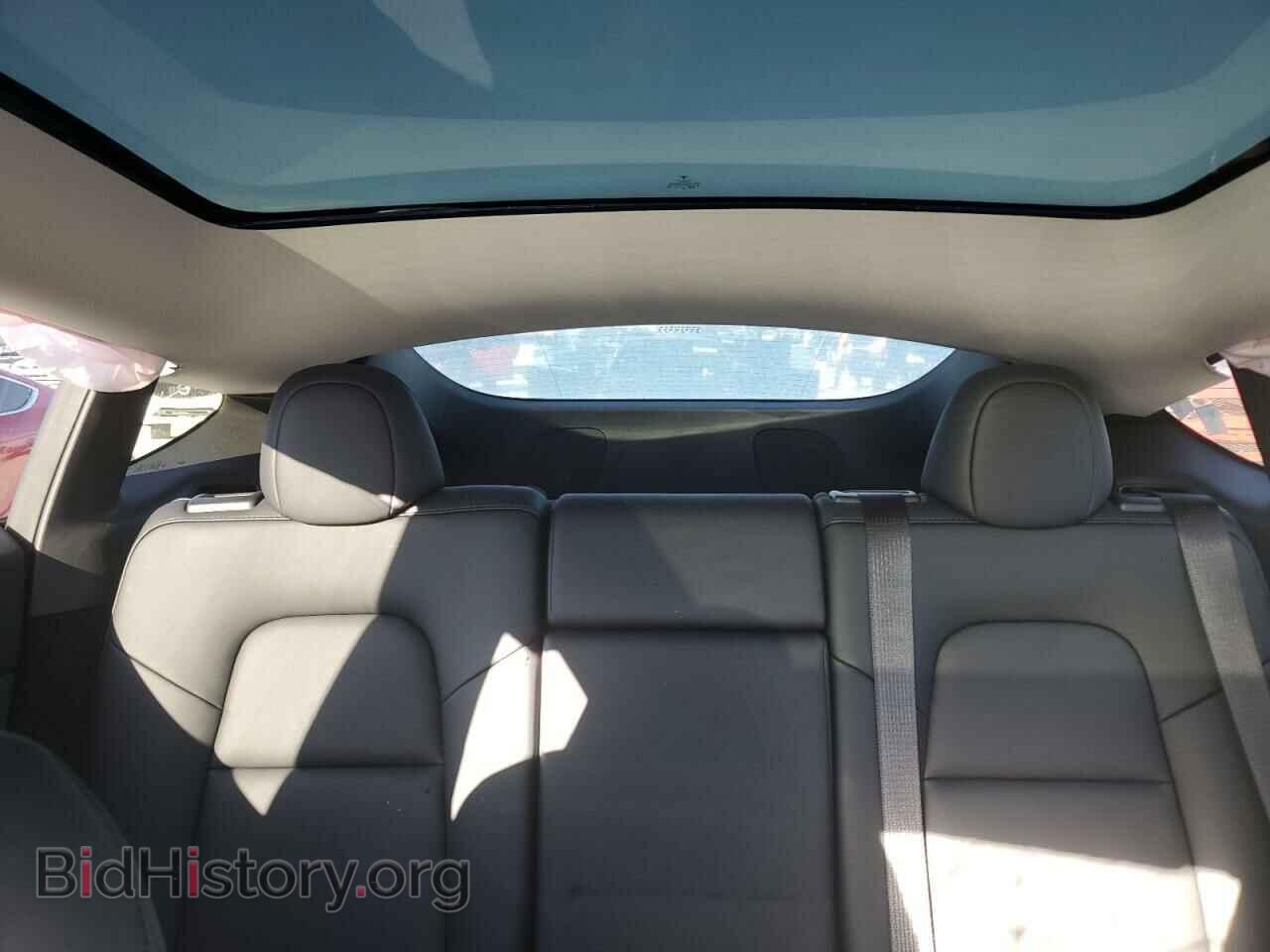 2023 TESLA MODEL Y - VIN: 7SAYGDEE9PA148413 - Фото 10