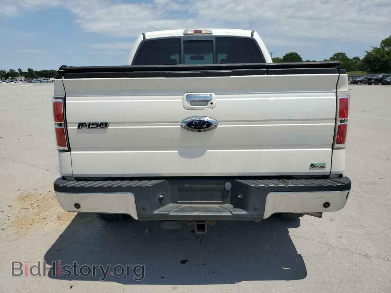 2010 FORD F-150 - VIN: 1FTFW1EV9AFD35937 - Фото 6
