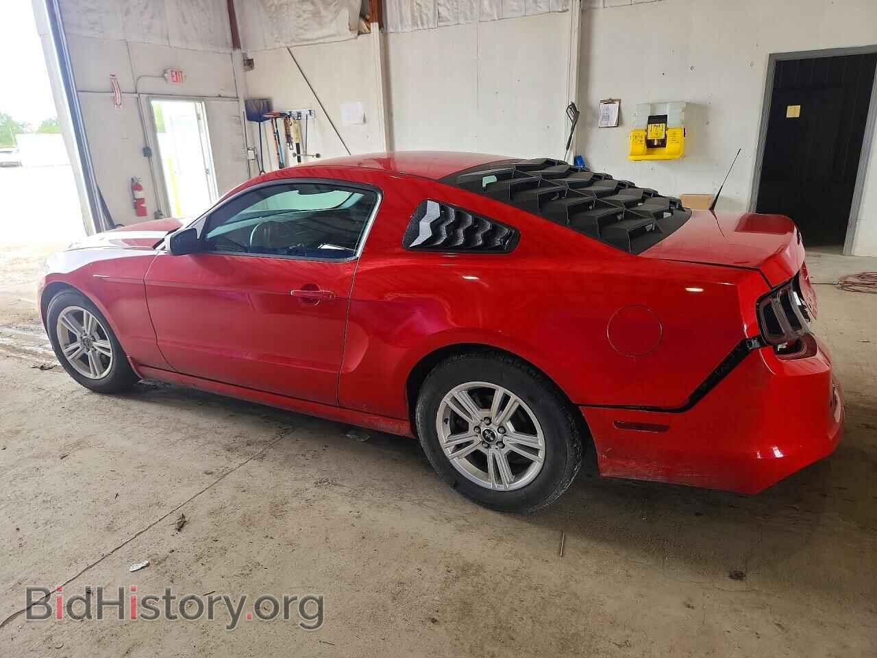 2014 FORD MUSTANG - VIN: 1ZVBP8AM8E5226198 - Фото 2
