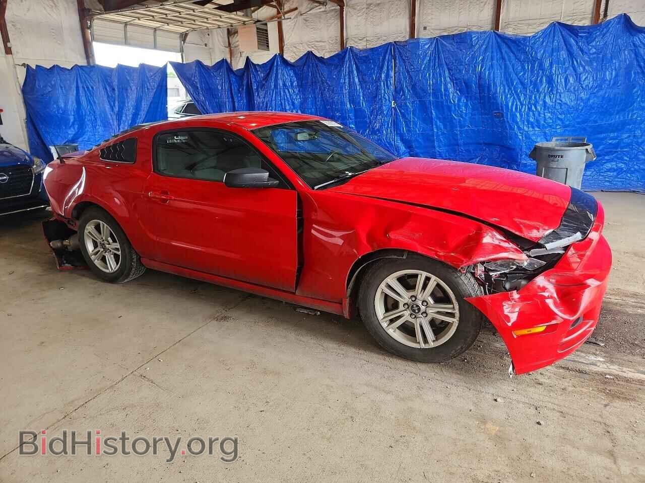 2014 FORD MUSTANG - VIN: 1ZVBP8AM8E5226198 - Фото 4