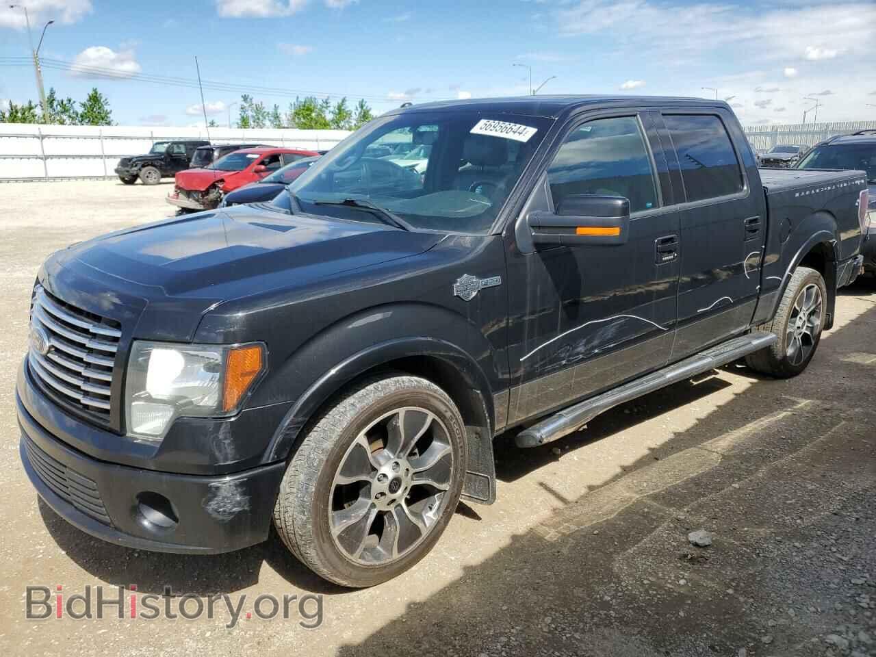 Photo 1FTFW1E60CFB59419 - FORD F-150 2012