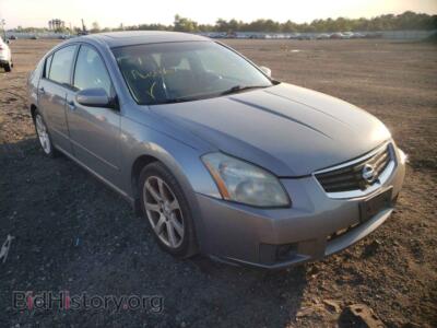 2007 Nissan MAXIMA, gray — VIN 1N4BA41E07C842116, Copart