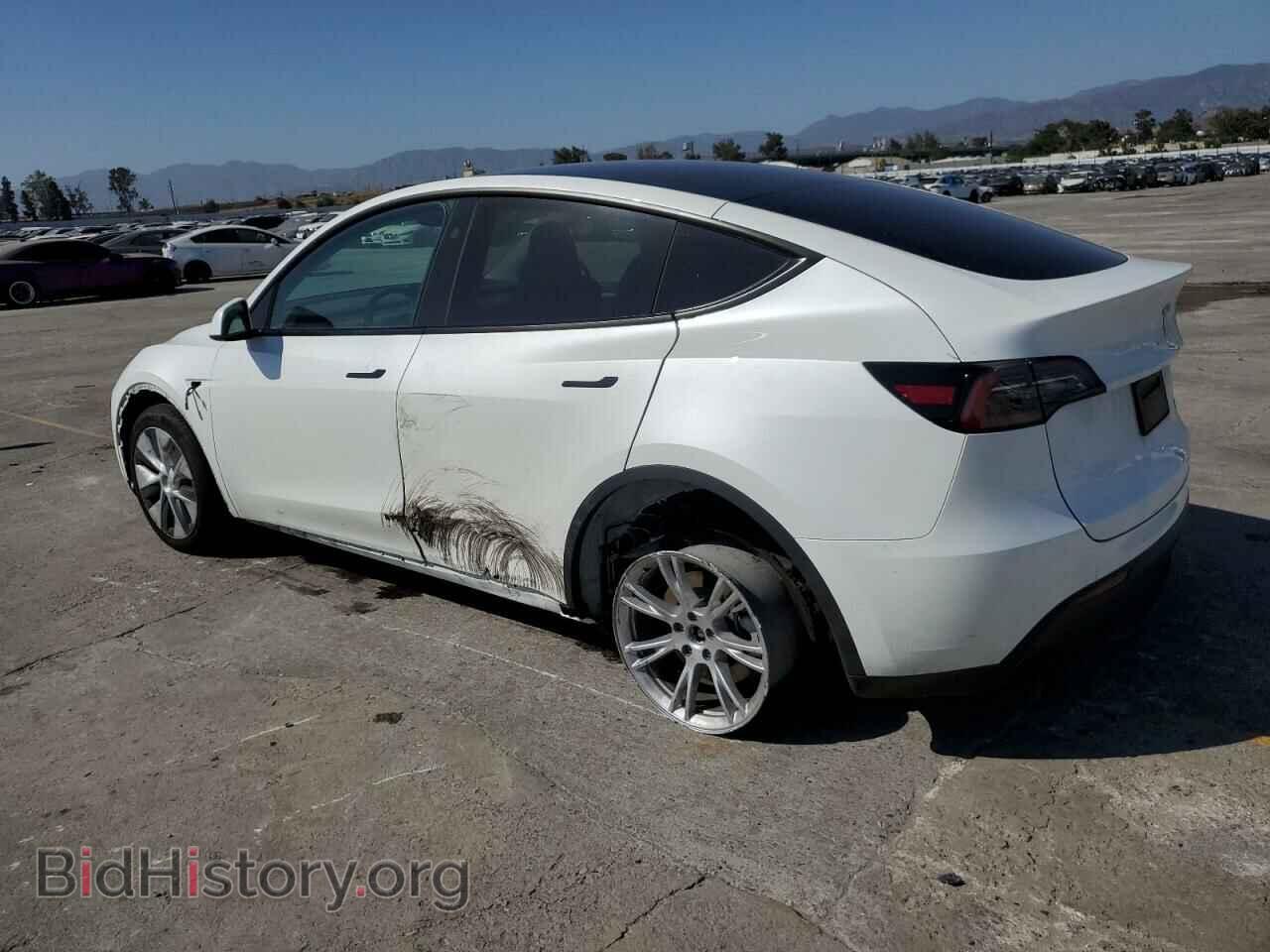 2024 TESLA MODEL Y - VIN: 7SAYGDEE1RF090884 - Photo 2