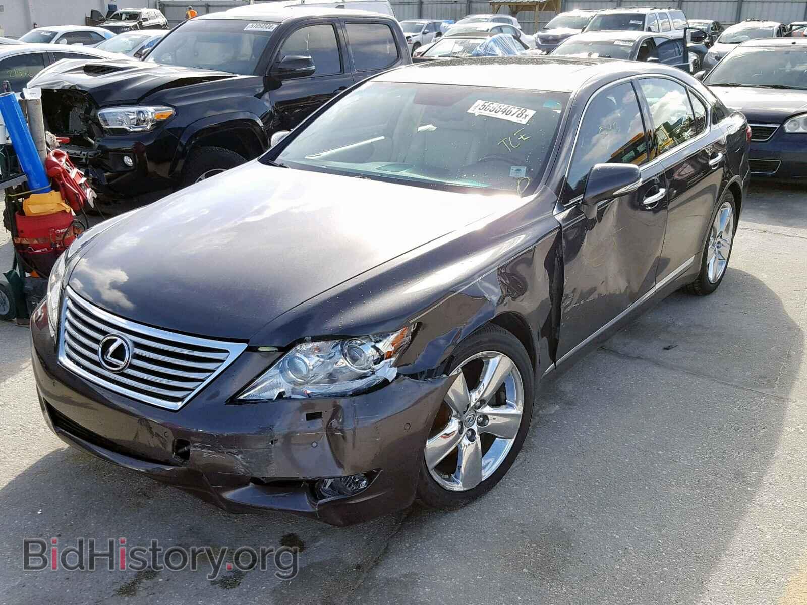 2010 LEXUS LS460 - VIN: JTHBL5EF6A5099047 - Фото 2