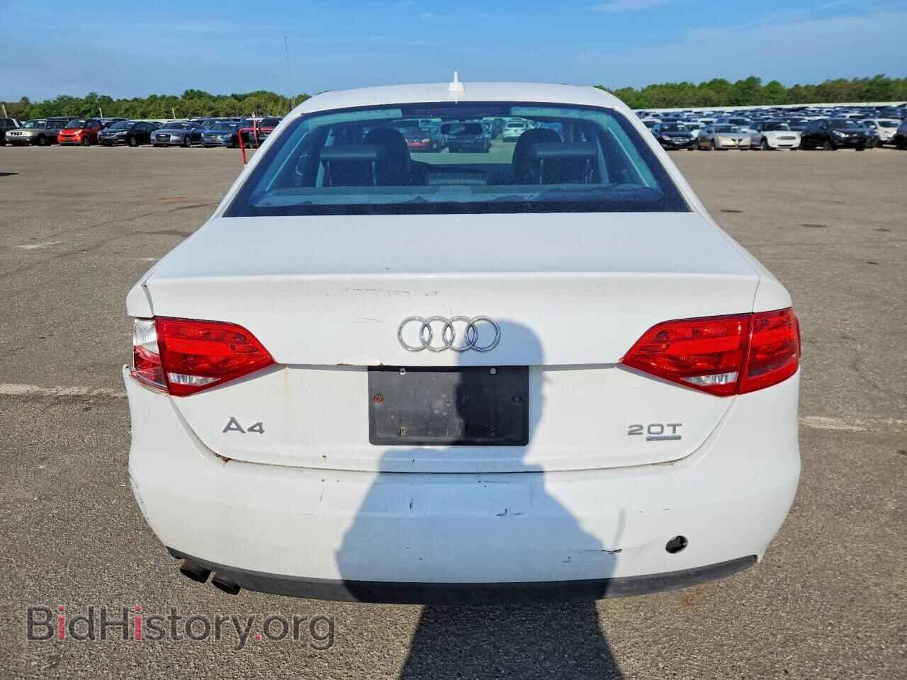 2010 AUDI A4 - VIN: WAUBFAFL8AN005155 - Photo 6