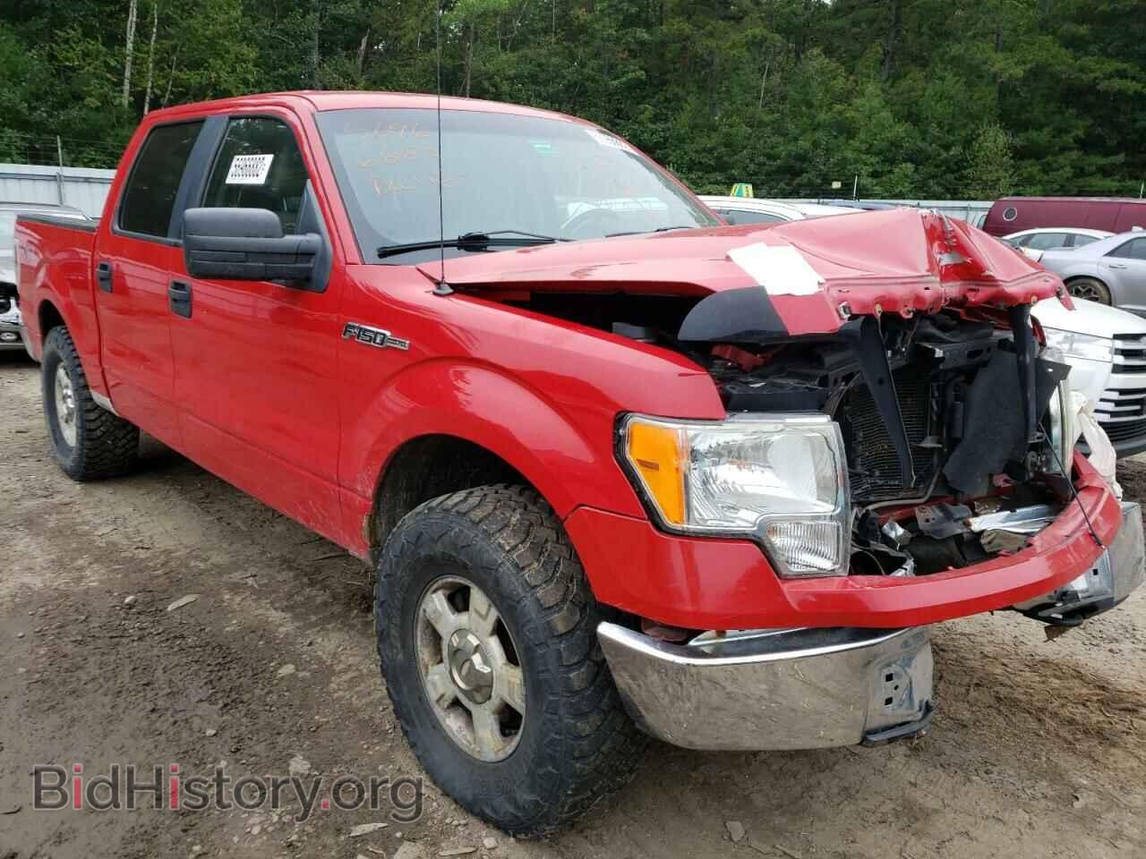 Photo 1FTEW1E82AFB20745 - FORD F-150 2010