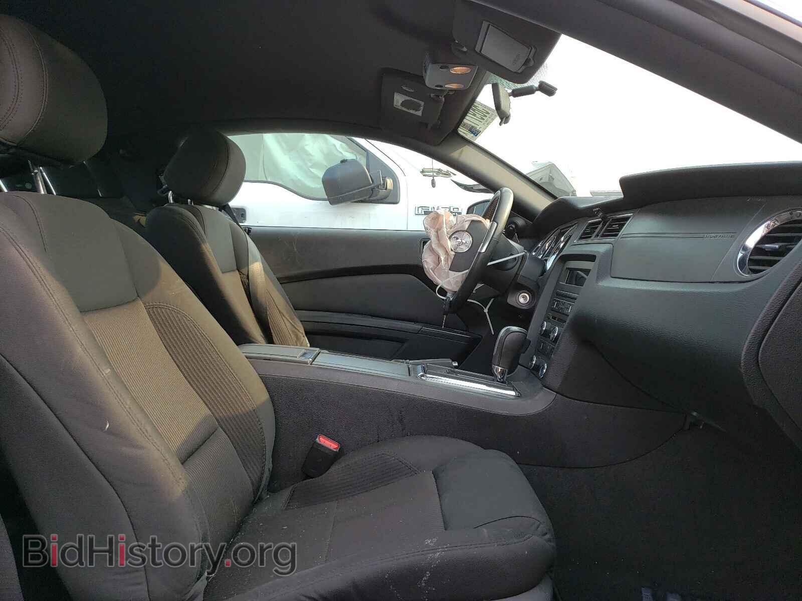 2013 FORD MUSTANG - VIN: 1ZVBP8AM9D5242795 - Фото 5