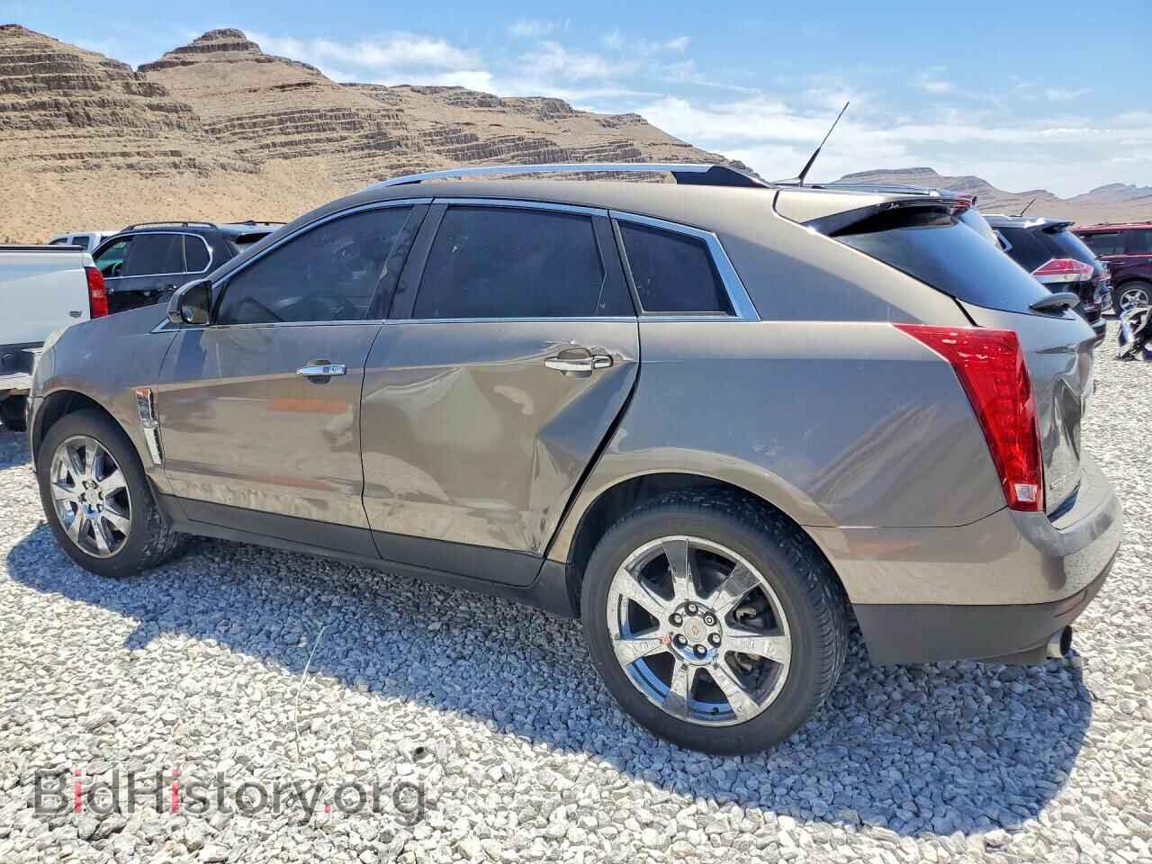2011 CADILLAC SRX - VIN: 3GYFNBEY9BS649310 - Фото 2