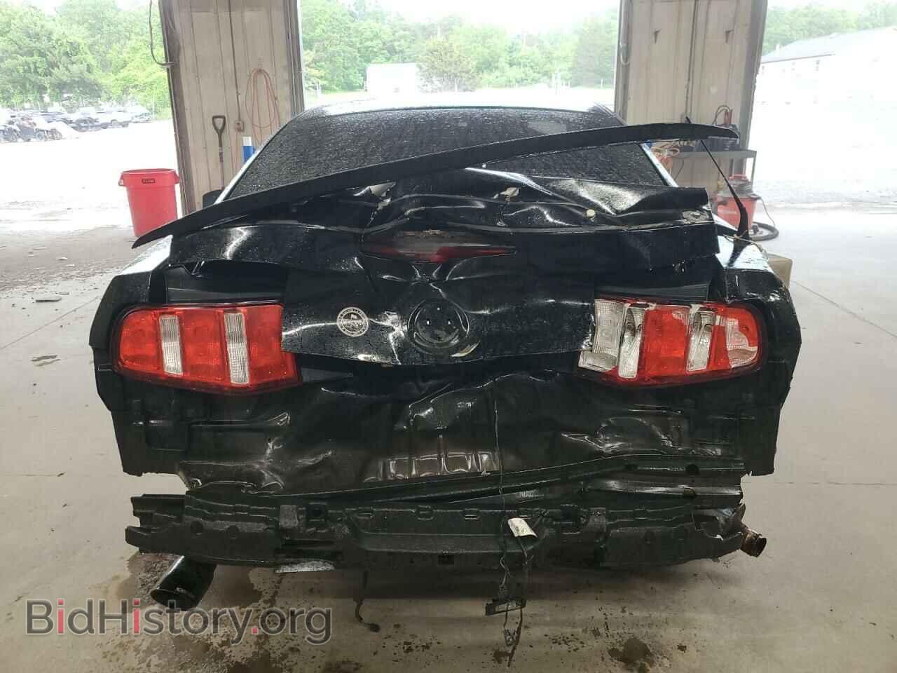 2012 FORD ALL Models - VIN: 1ZVBP8AM1C5252185 - Фото 6