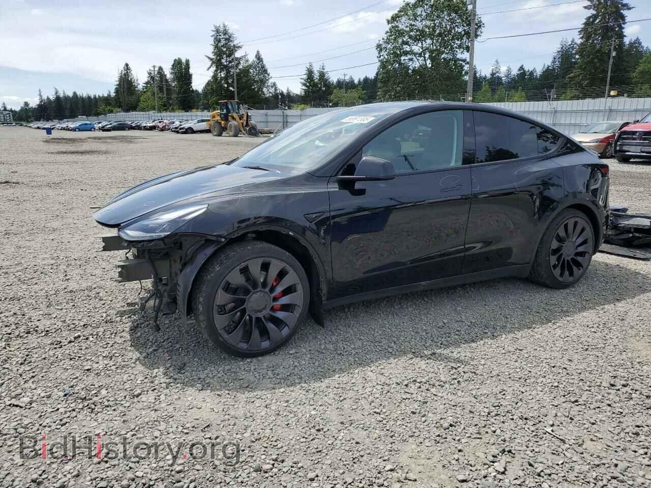 Photo 7SAYGDEF5RF064183 - TESLA MODEL Y 2024