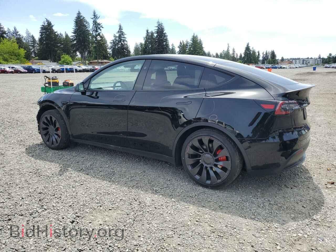 2024 TESLA MODEL Y - VIN: 7SAYGDEF5RF064183 - Фото 2