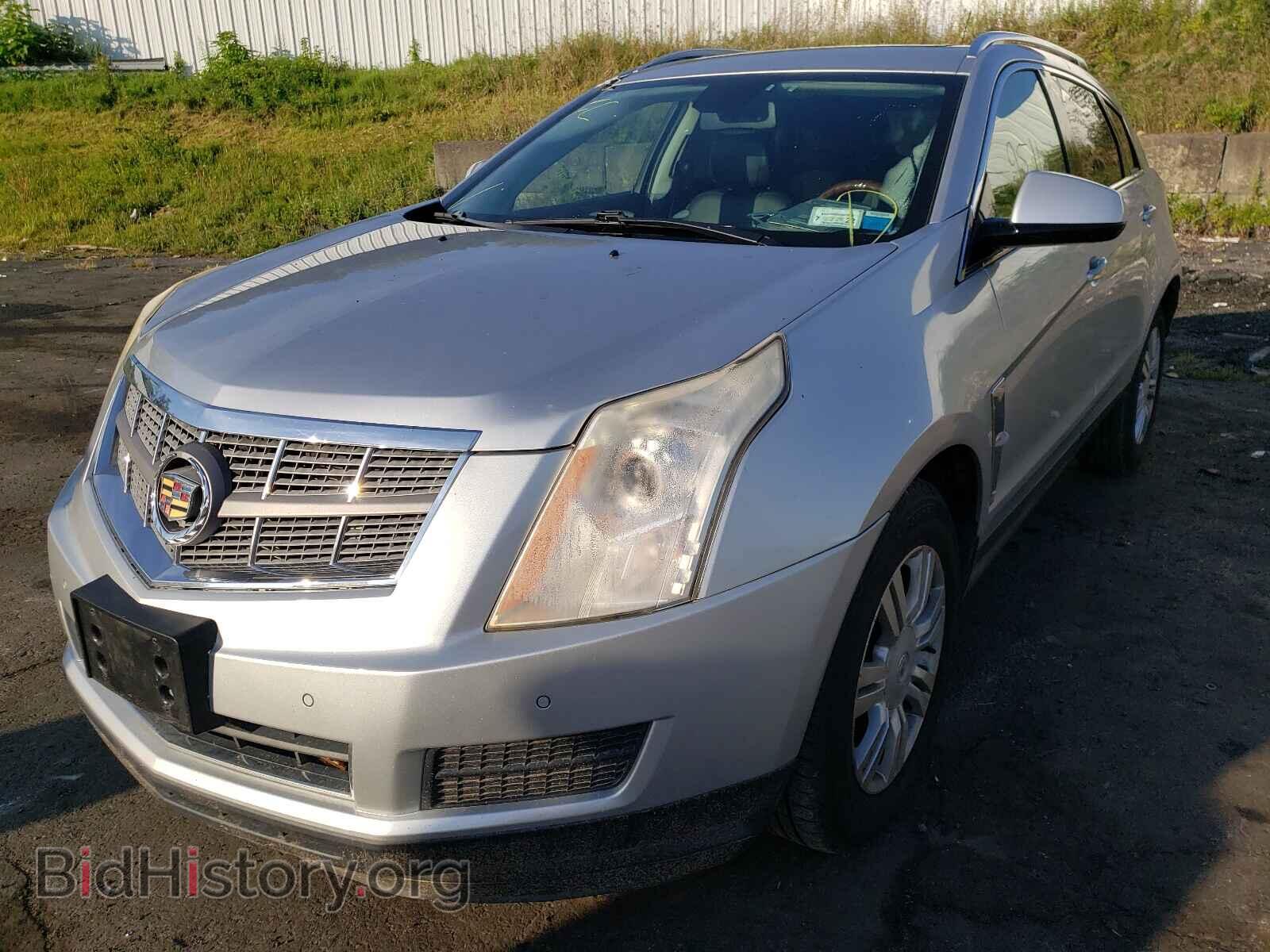 2011 CADILLAC SRX - VIN: 3GYFNDEY7BS529551 - Фото 2