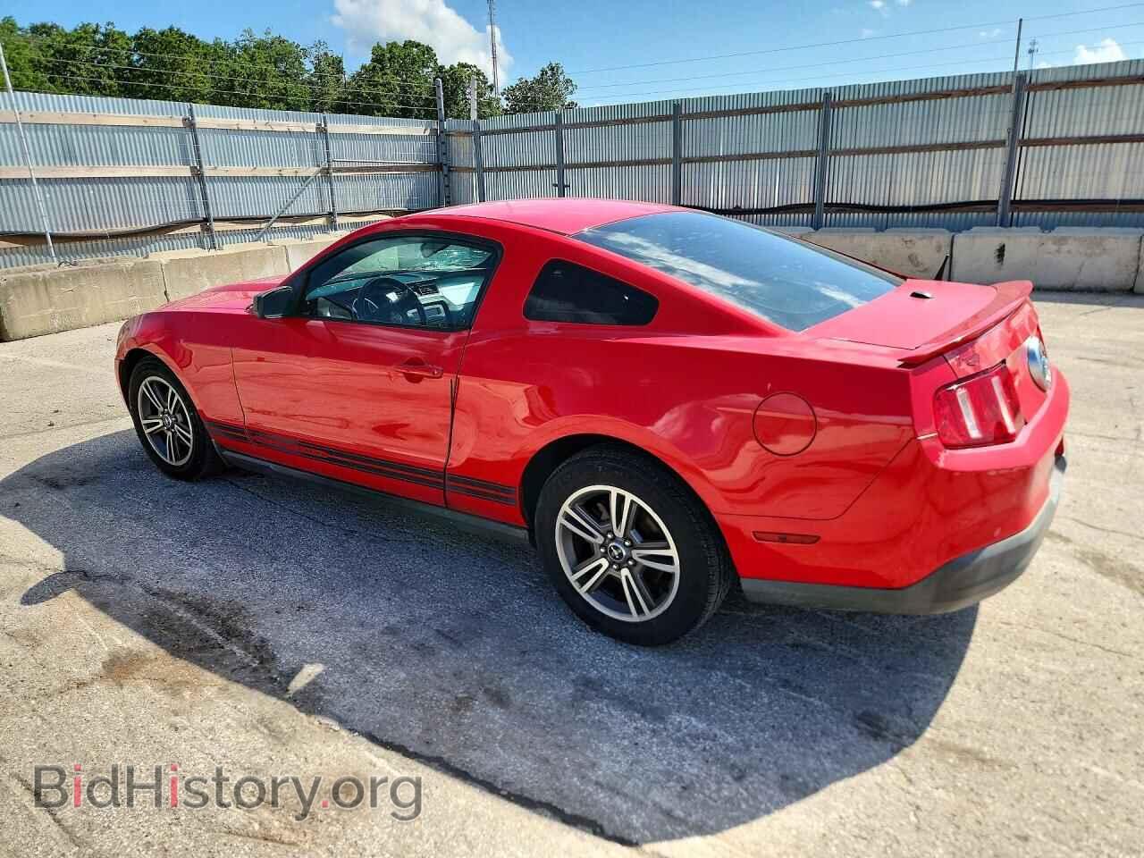 2010 FORD MUSTANG - VIN: 1ZVBP8AN5A5169834 - Фото 2