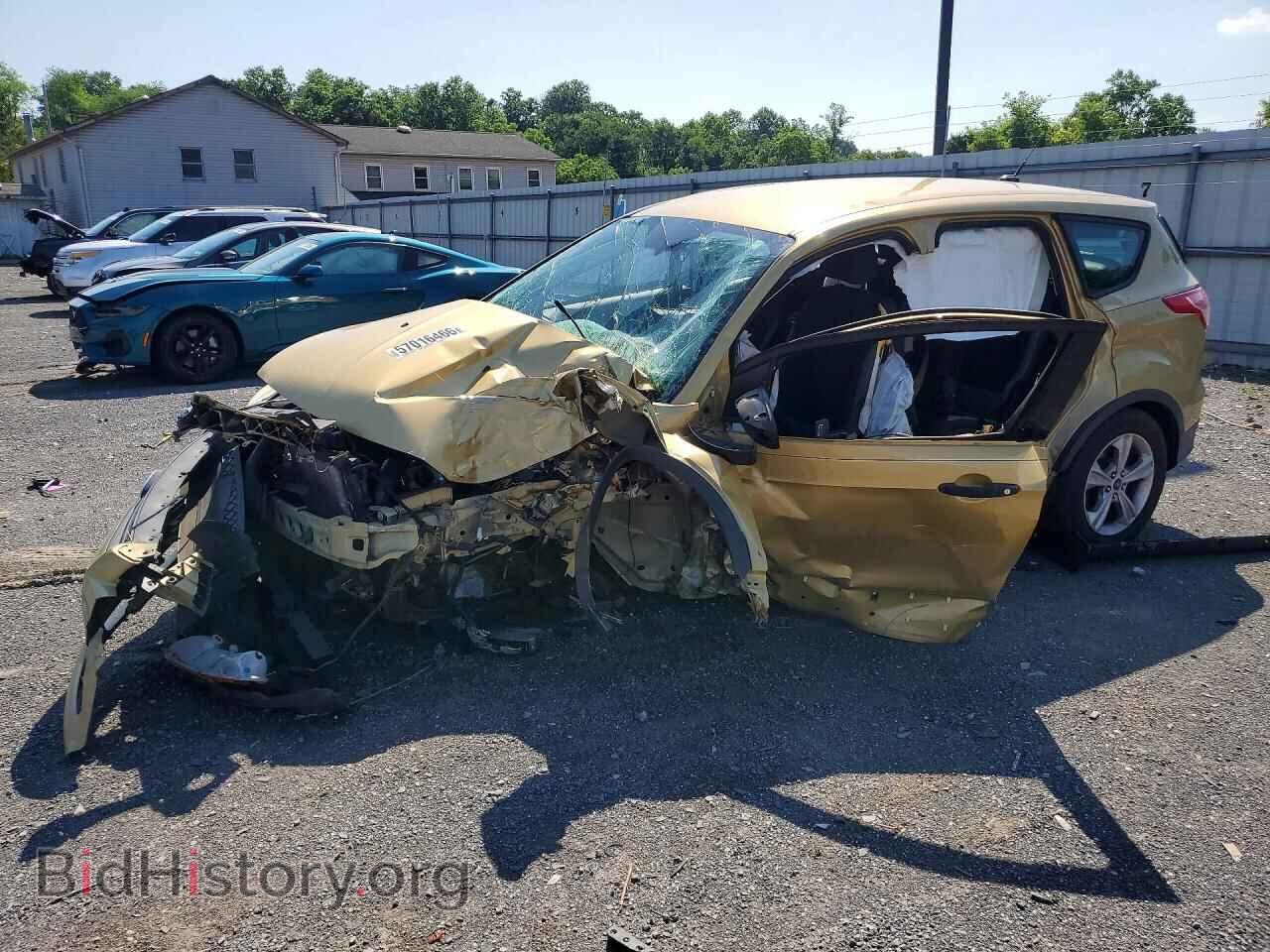 Photo 1FMCU0F74EUD69977 - FORD ESCAPE 2014