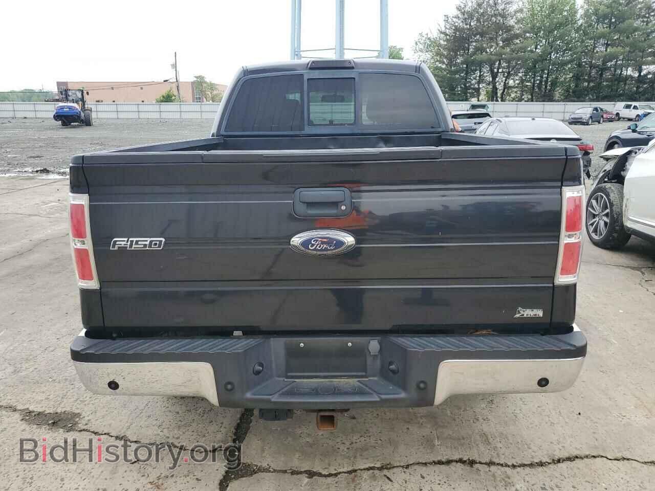 2010 FORD F-150 - VIN: 1FTFW1EV1AFC42474 - Фото 6