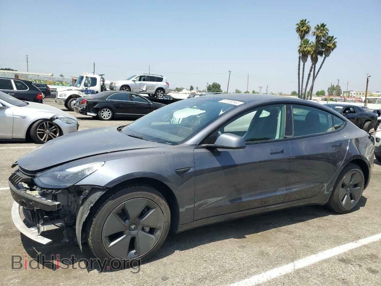 Photo 5YJ3E1EA5PF404624 - TESLA MODEL 3 2023