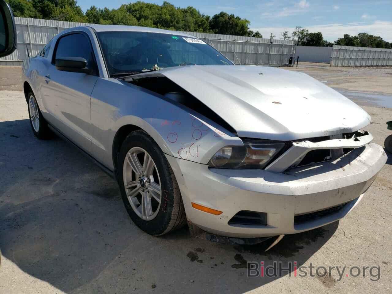 Photo 1ZVBP8AN9A5154365 - FORD MUSTANG 2010