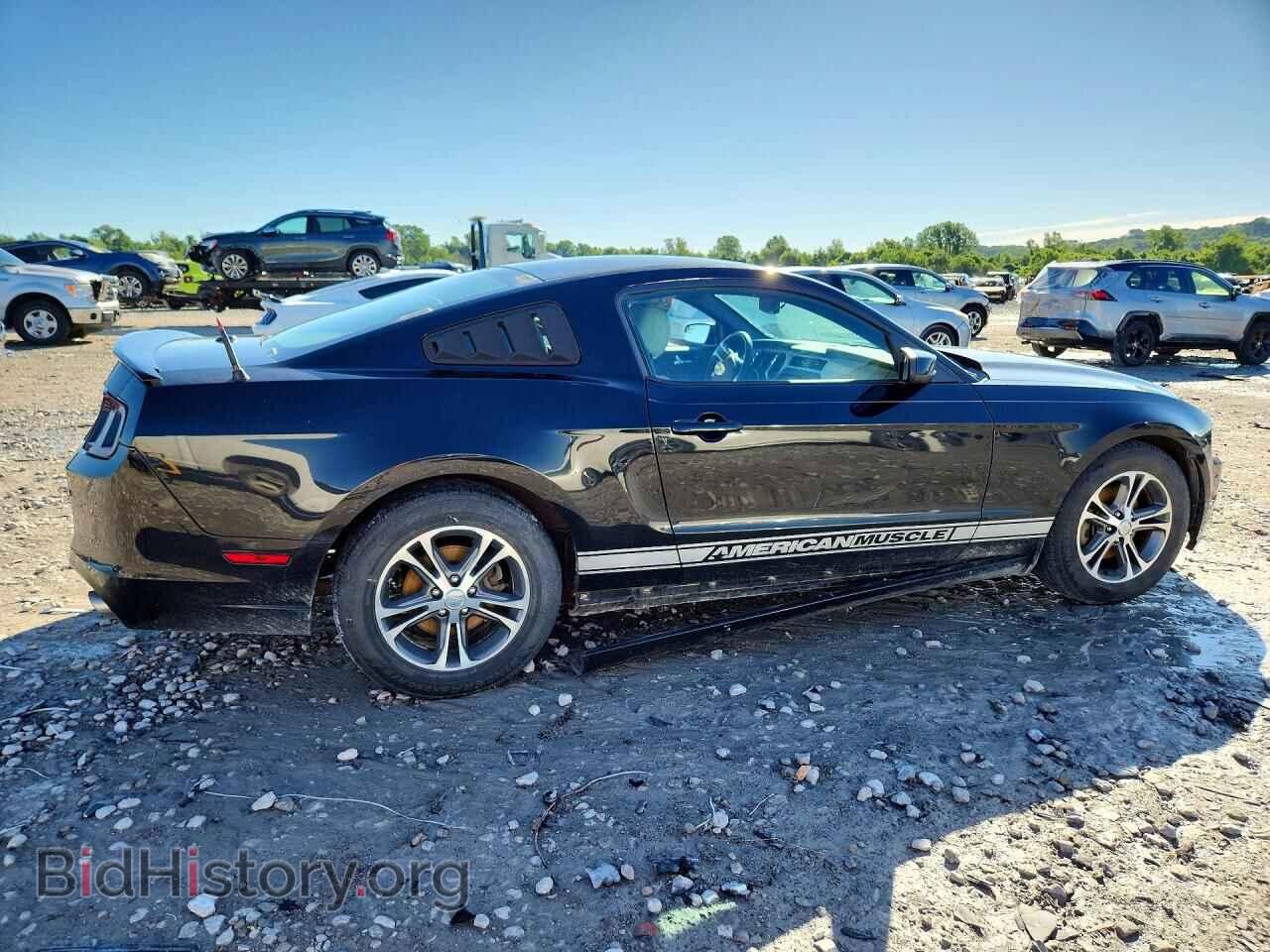 2014 FORD MUSTANG - VIN: 1ZVBP8AM5E5201324 - Фото 3