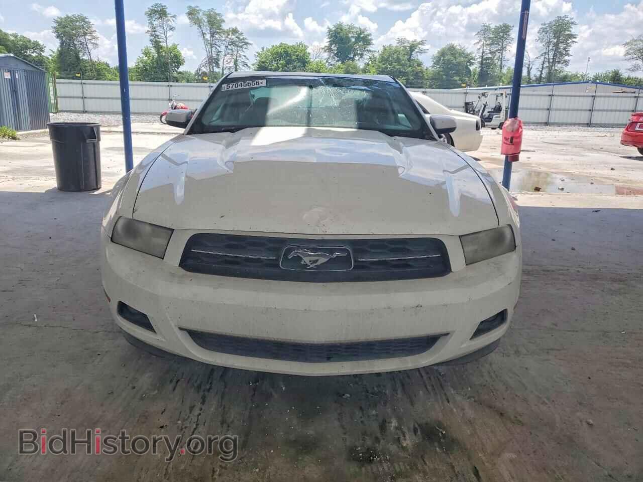 2010 FORD MUSTANG - VIN: 1ZVBP8AN8A5128968 - Photo 5
