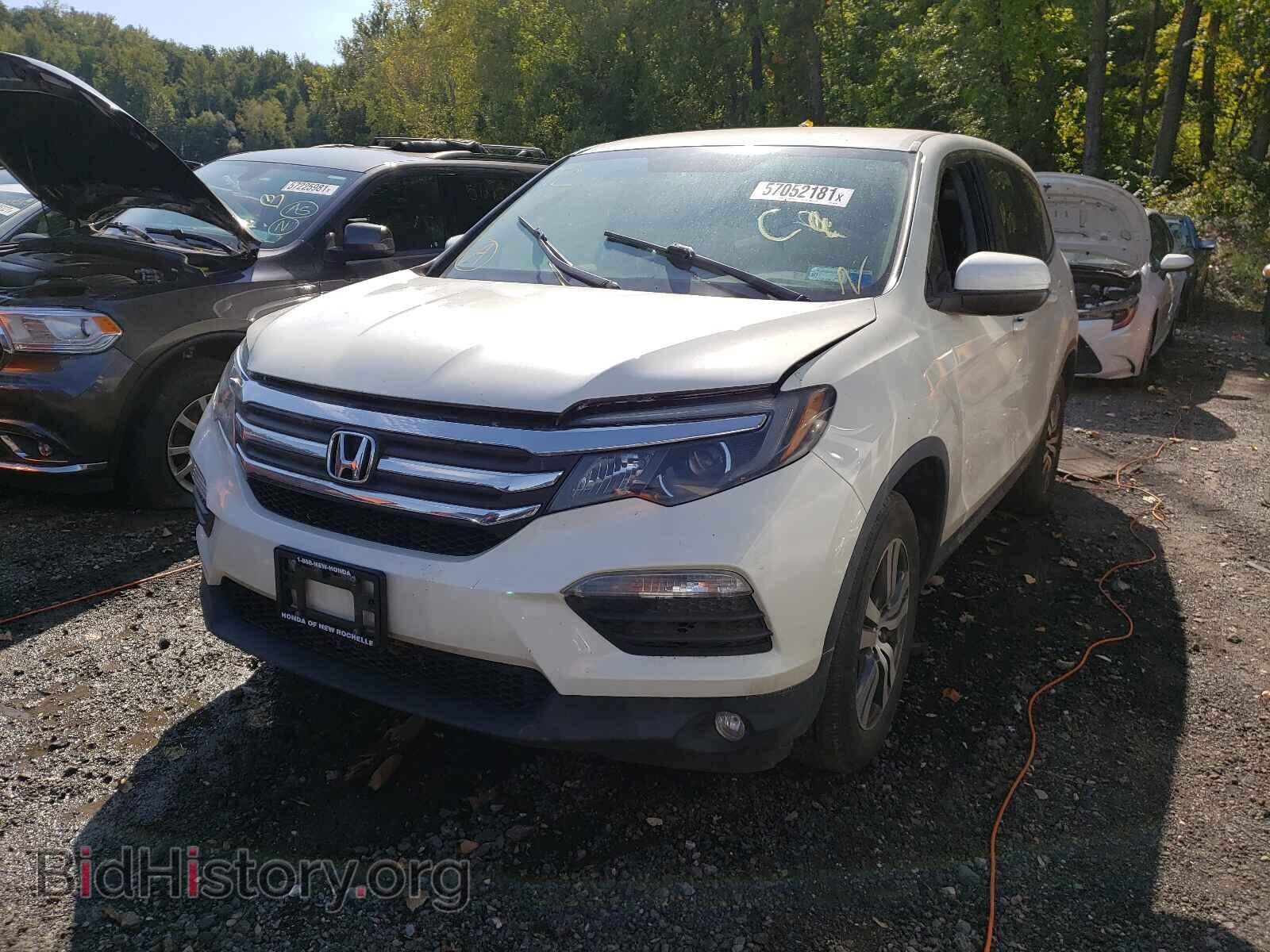 2017 HONDA PILOT - VIN: 5FNYF6H36HB066066 - Фото 2