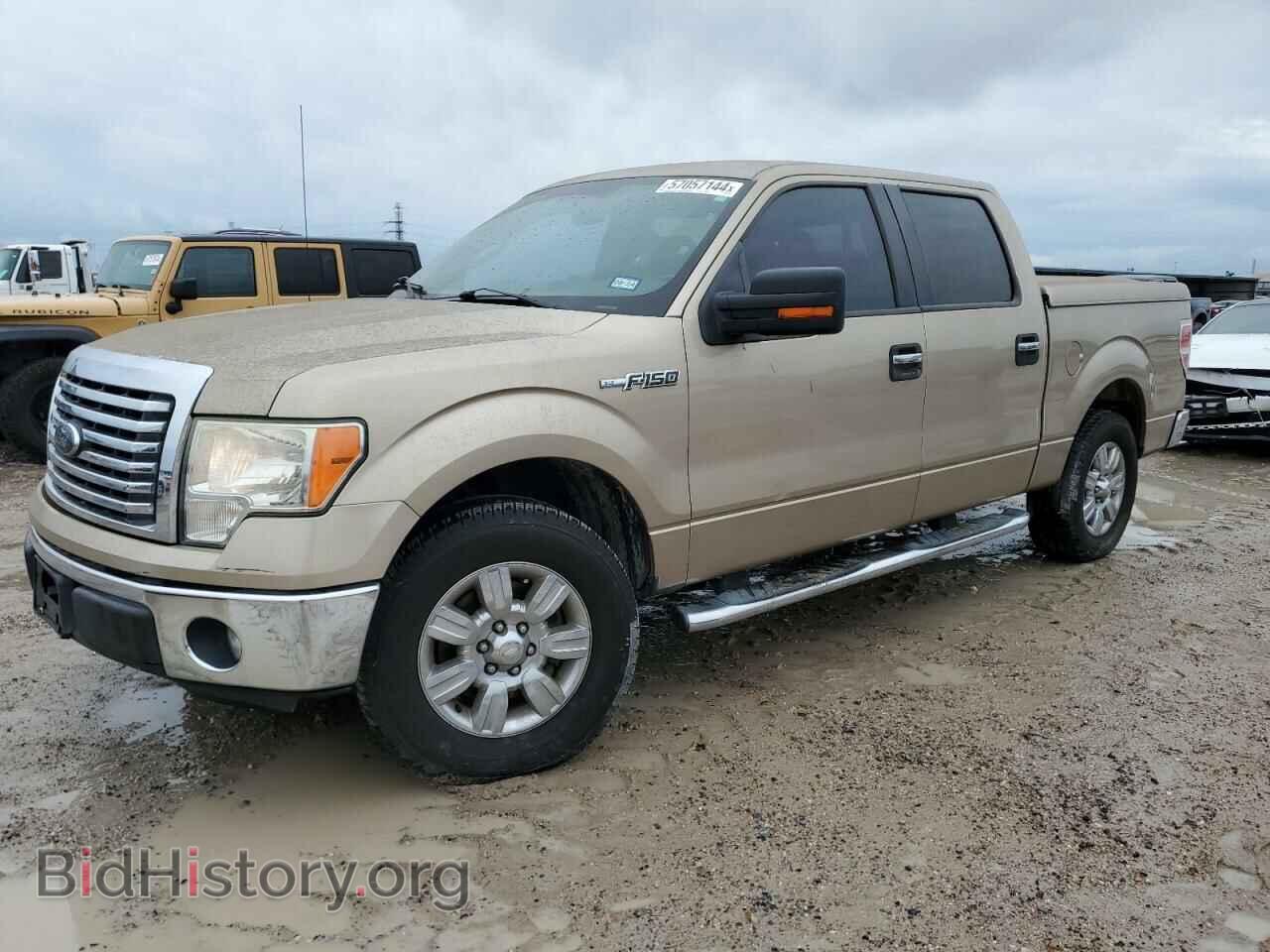 Фотография 1FTFW1CF2CFC40022 - FORD F-150 2012