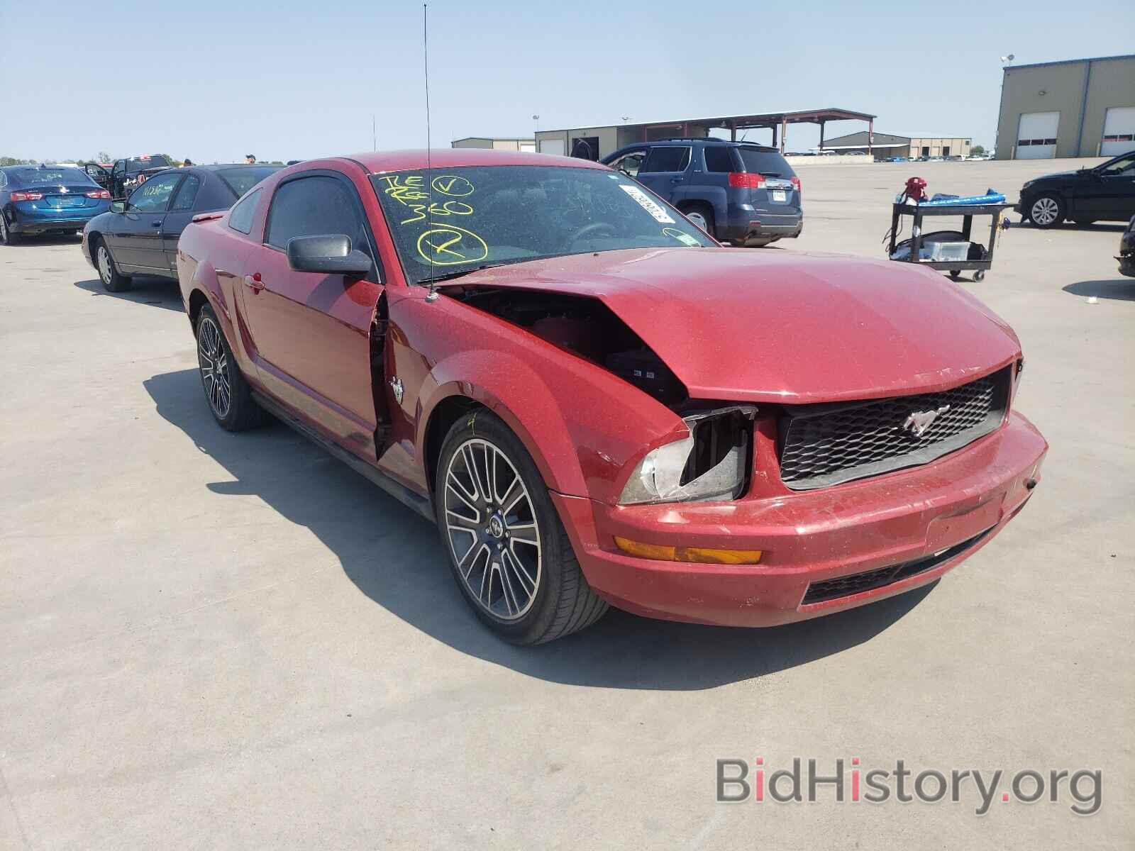 Photo 1ZVHT80N895138810 - FORD MUSTANG 2009
