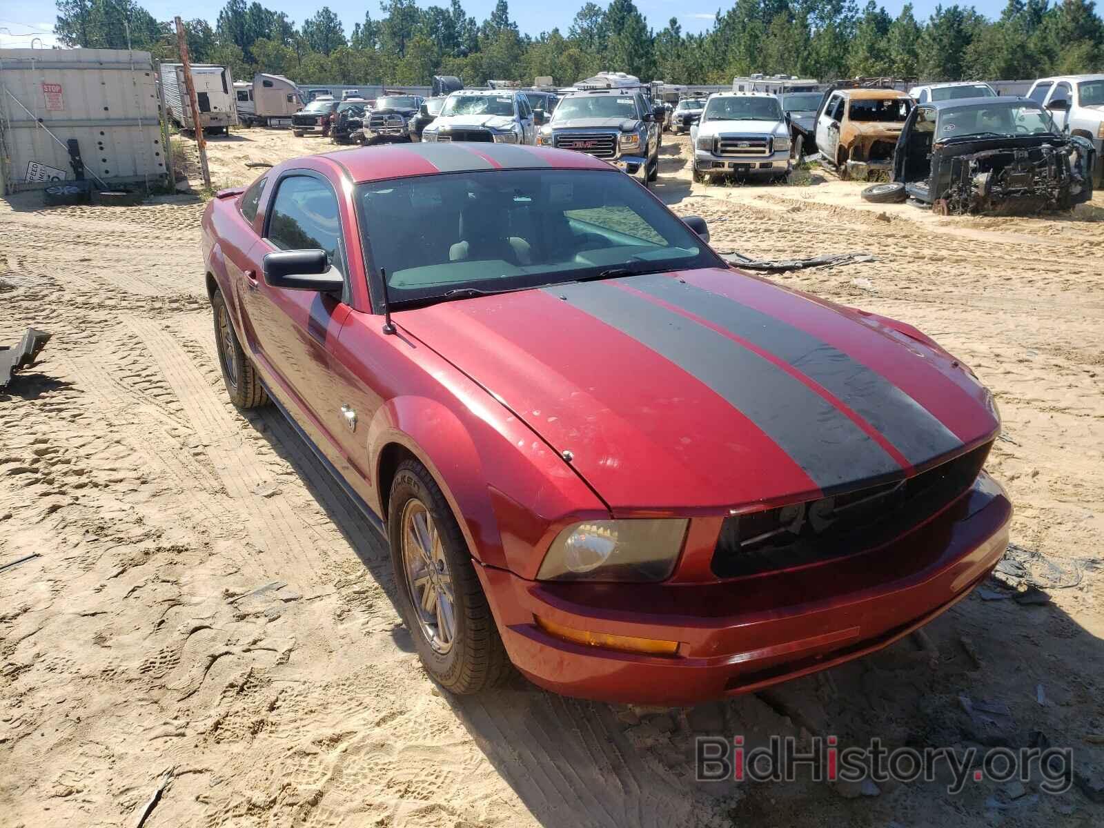 Photo 1ZVHT80N195113148 - FORD MUSTANG 2009