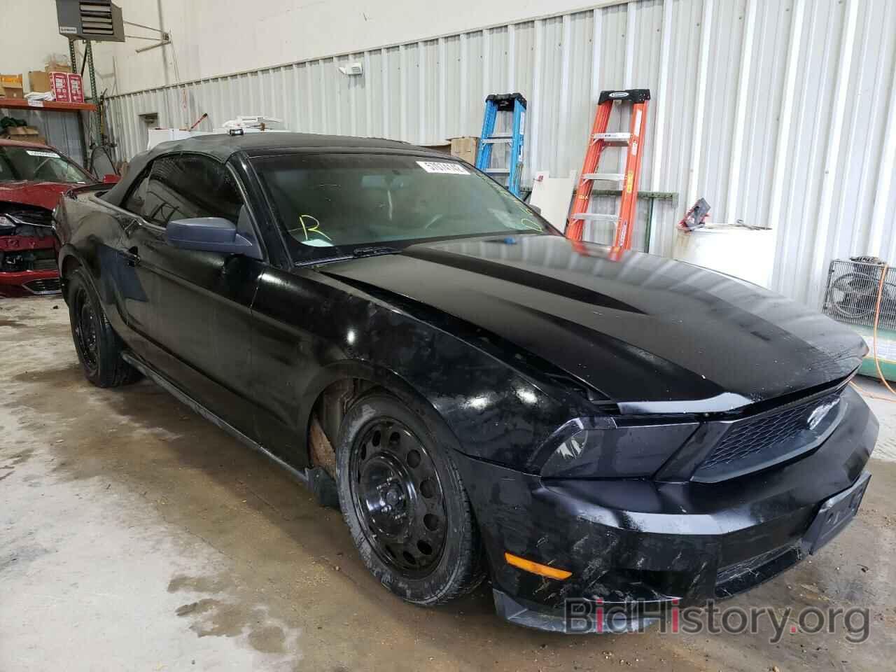 Photo 1ZVBP8EN7A5127918 - FORD MUSTANG 2010