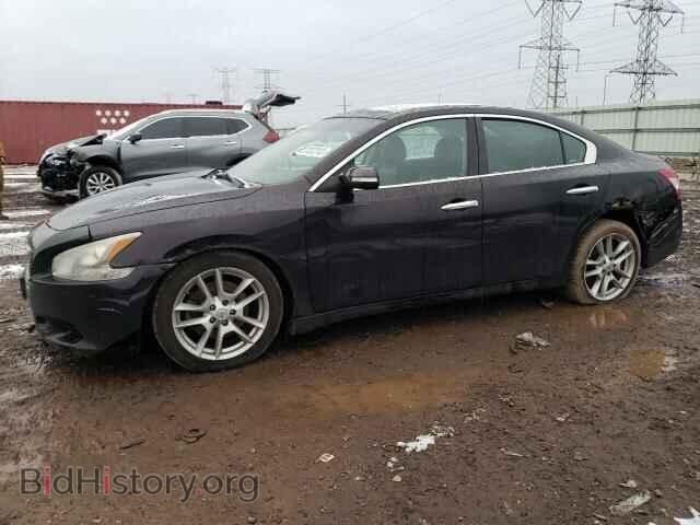 Photo 1N4AA5AP6AC871971 - NISSAN MAXIMA 2010