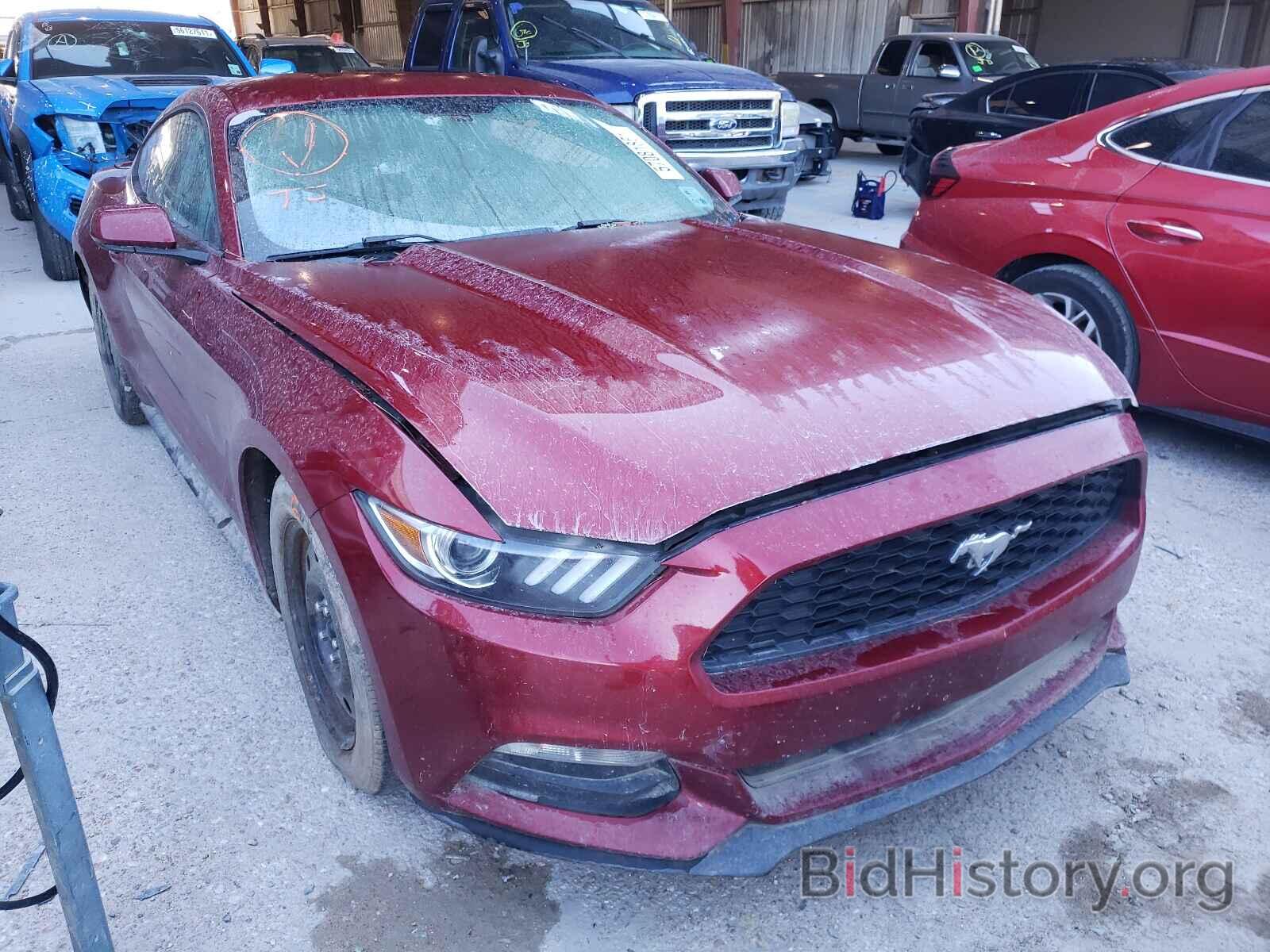 Фотография 1FA6P8AM3H5305065 - FORD MUSTANG 2017