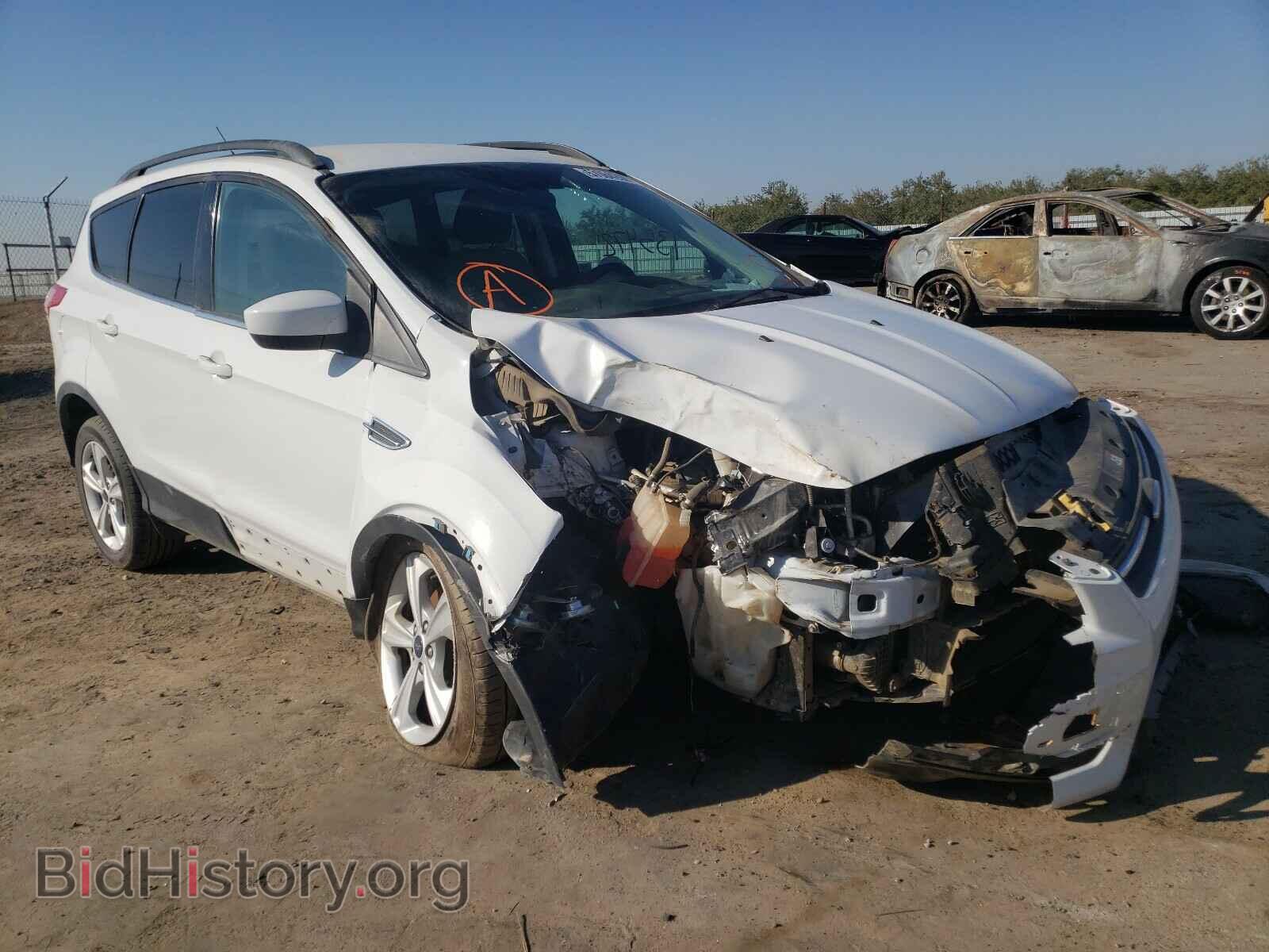 Фотография 1FMCU0GX0EUC69308 - FORD ESCAPE 2014
