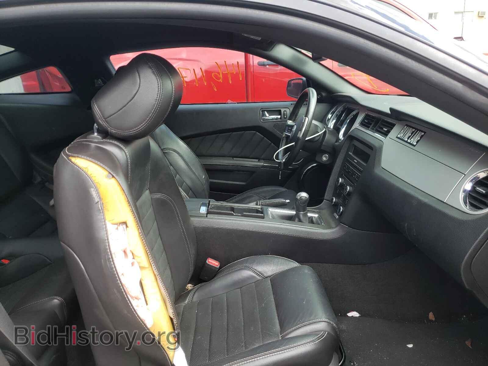2013 FORD MUSTANG - VIN: 1ZVBP8AM3D5253940 - Фото 5