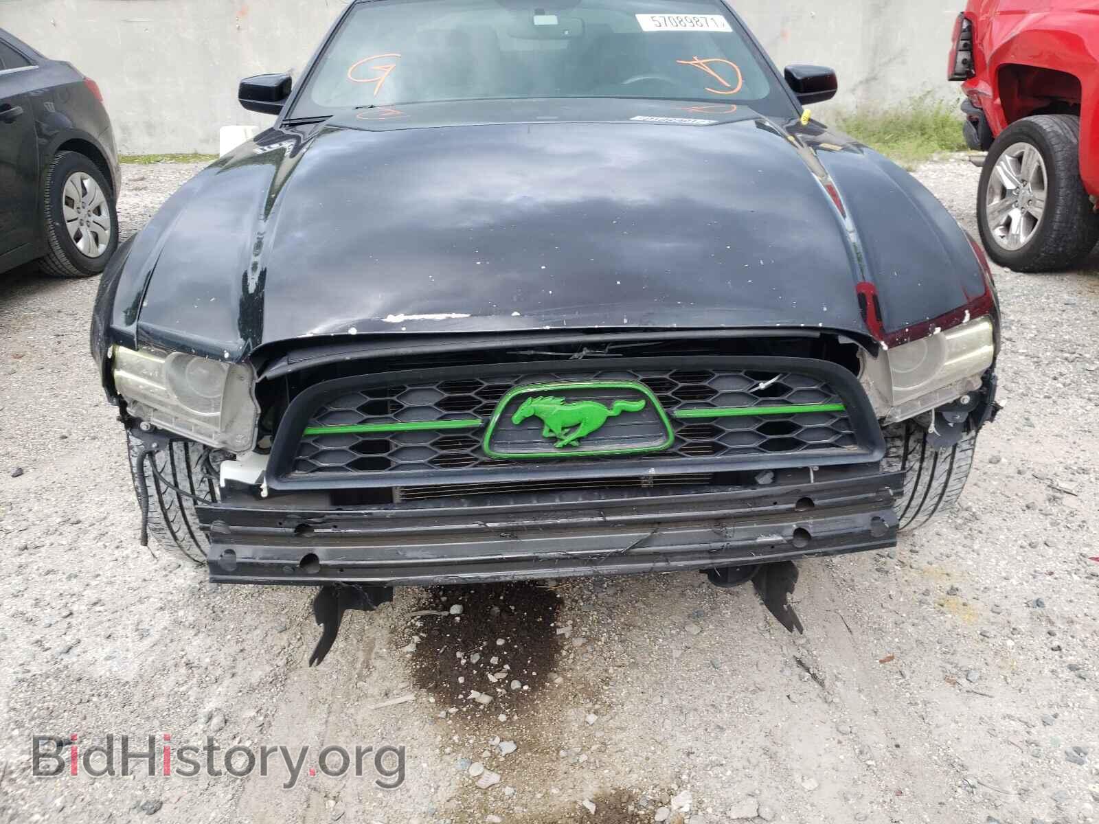 2013 FORD MUSTANG - VIN: 1ZVBP8AM3D5253940 - Фото 9