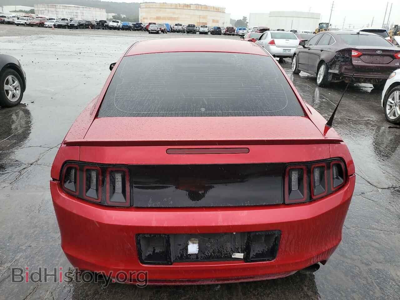 2013 FORD ALL Models - VIN: 1ZVBP8AM7D5241080 - Фото 6