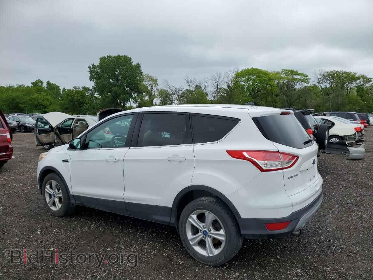 2013 FORD ESCAPE - VIN: 1FMCU0GX4DUD17567 - Фото 2