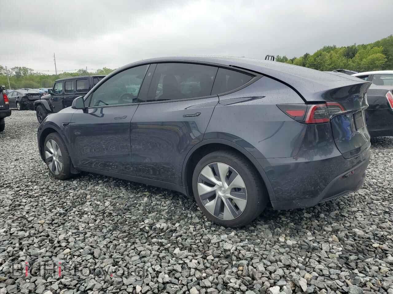 2024 TESLA MODEL Y - VIN: 7SAYGDEE5RA234790 - Фото 2