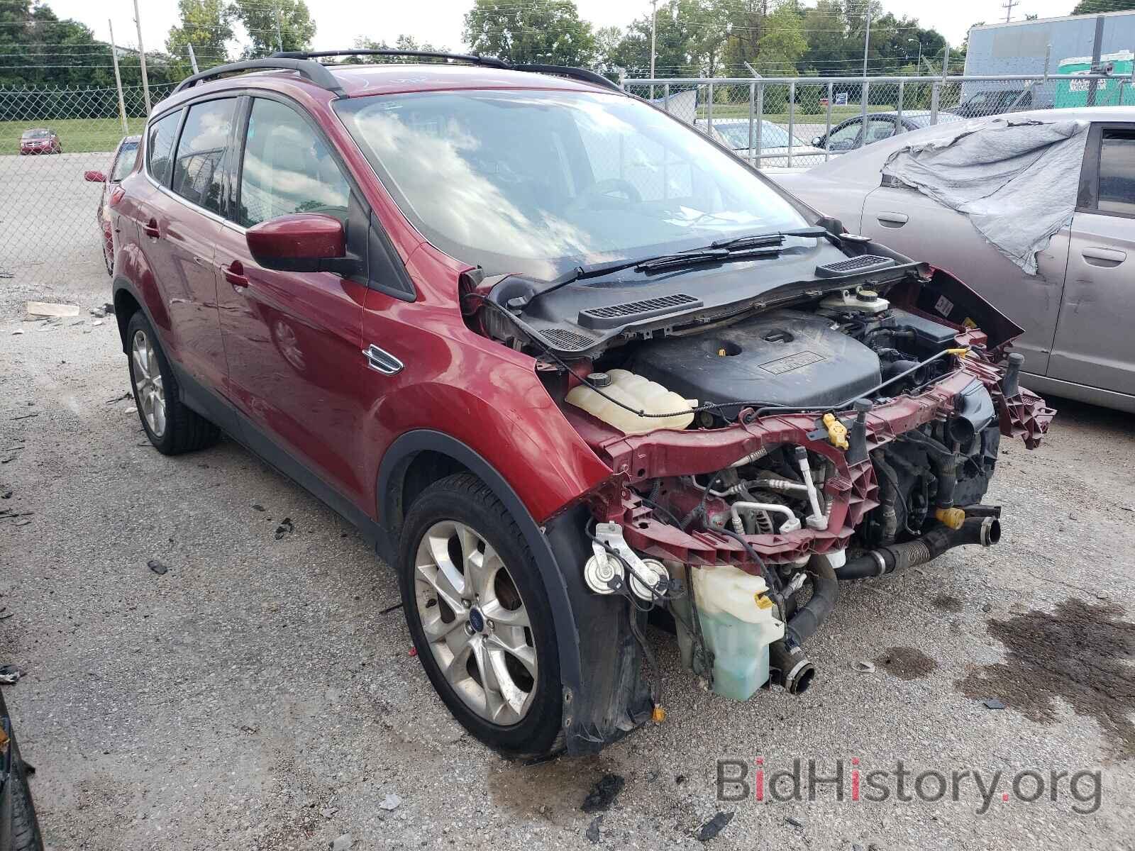 Photo 1FMCU9G98DUC14335 - FORD ESCAPE 2013