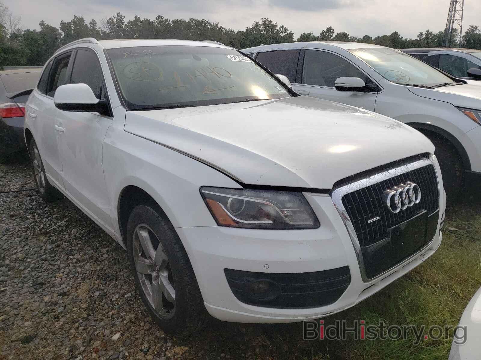 Фотография WA1LKAFP2AA041172 - AUDI Q5 2010