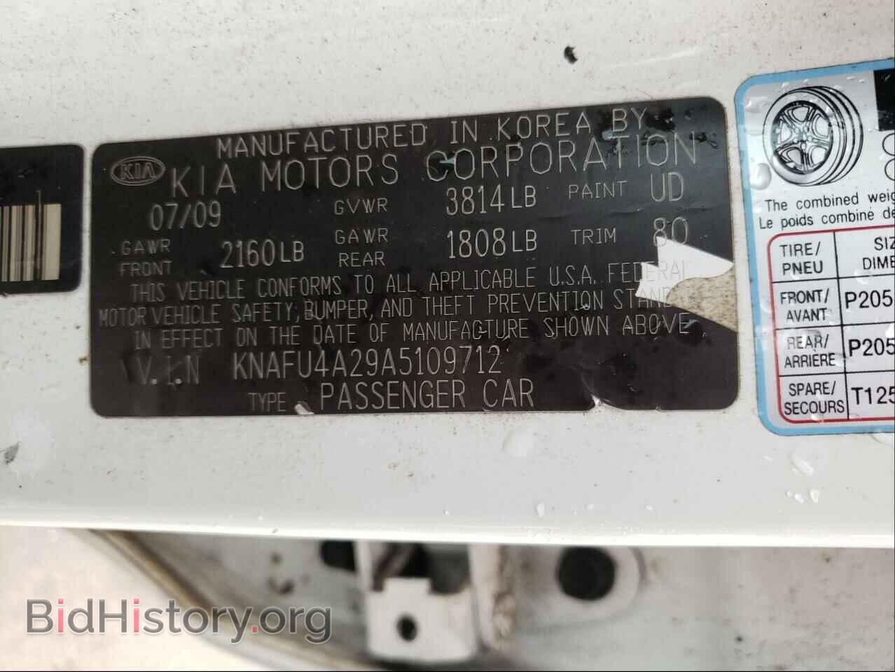 2010 KIA FORTE - VIN: KNAFU4A29A5109712 - Фото 10