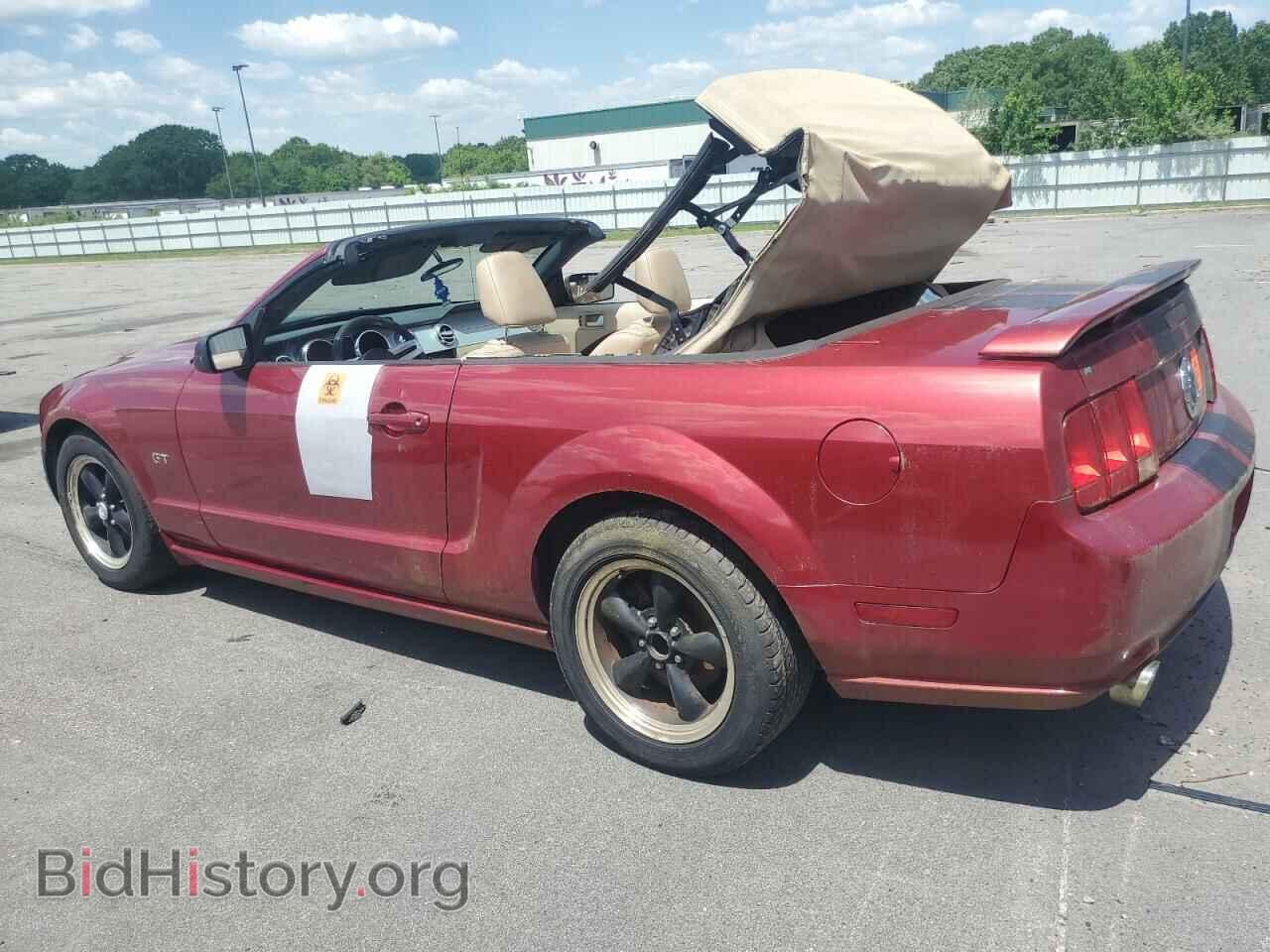 2006 FORD MUSTANG - VIN: 1ZVHT85H665172145 - Фото 2