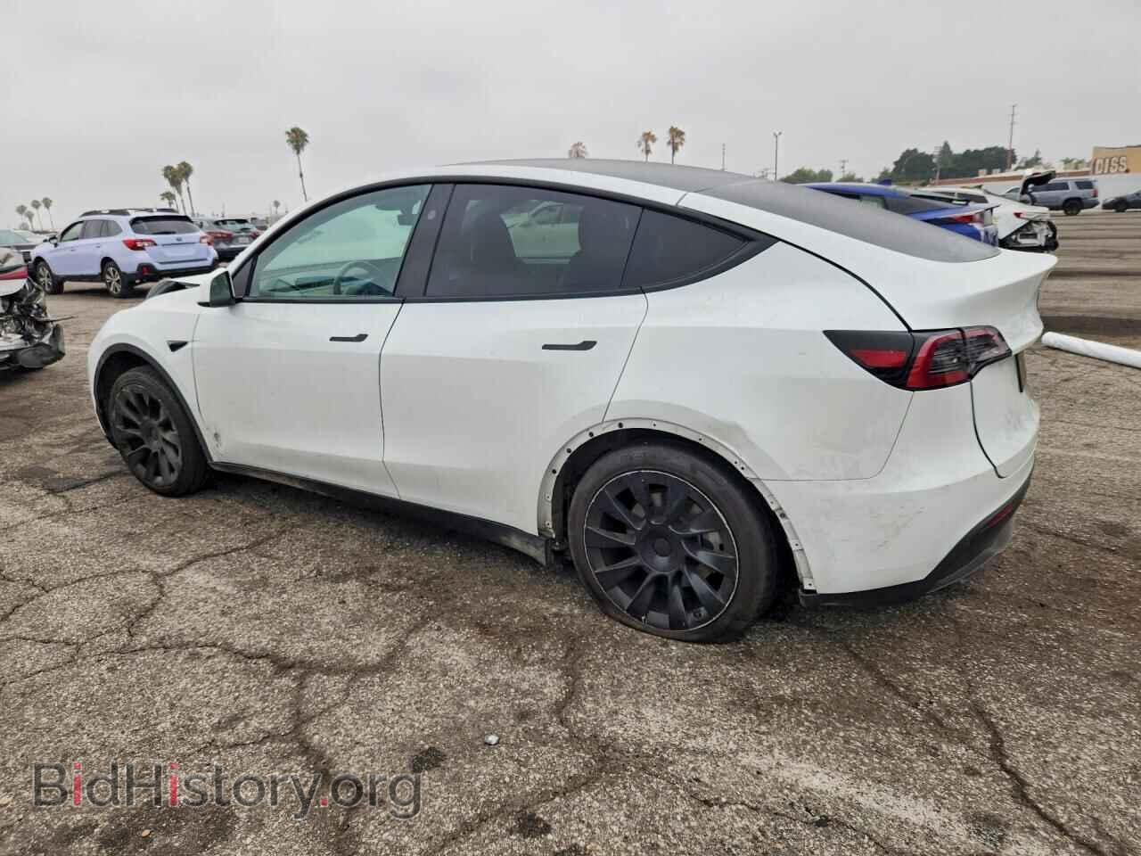 2024 TESLA MODEL Y - VIN: 7SAYGDED5RF018531 - Photo 2