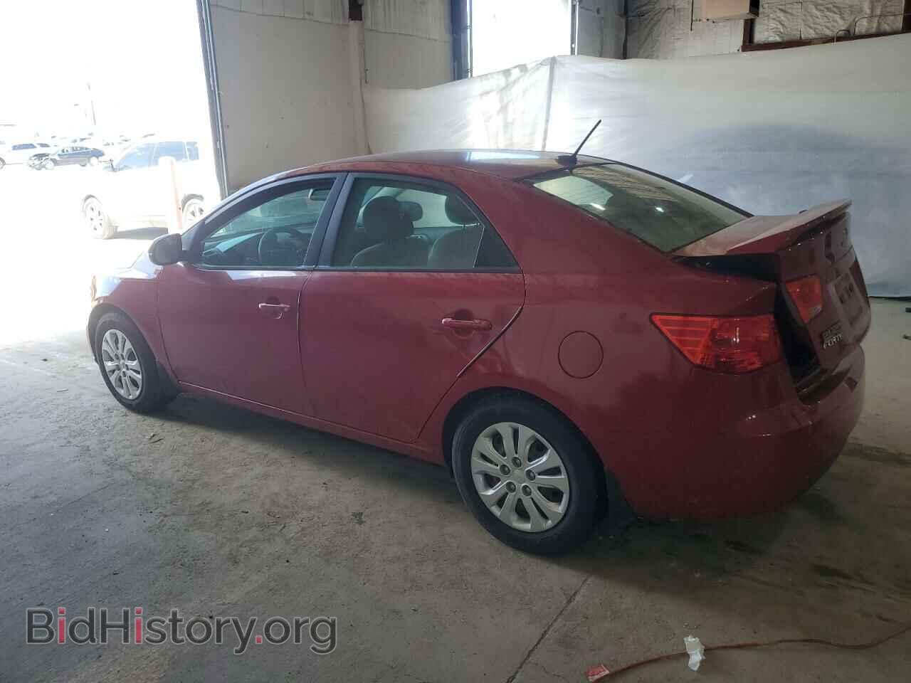 2013 KIA FORTE - VIN: KNAFU4A25D5716517 - Фото 2