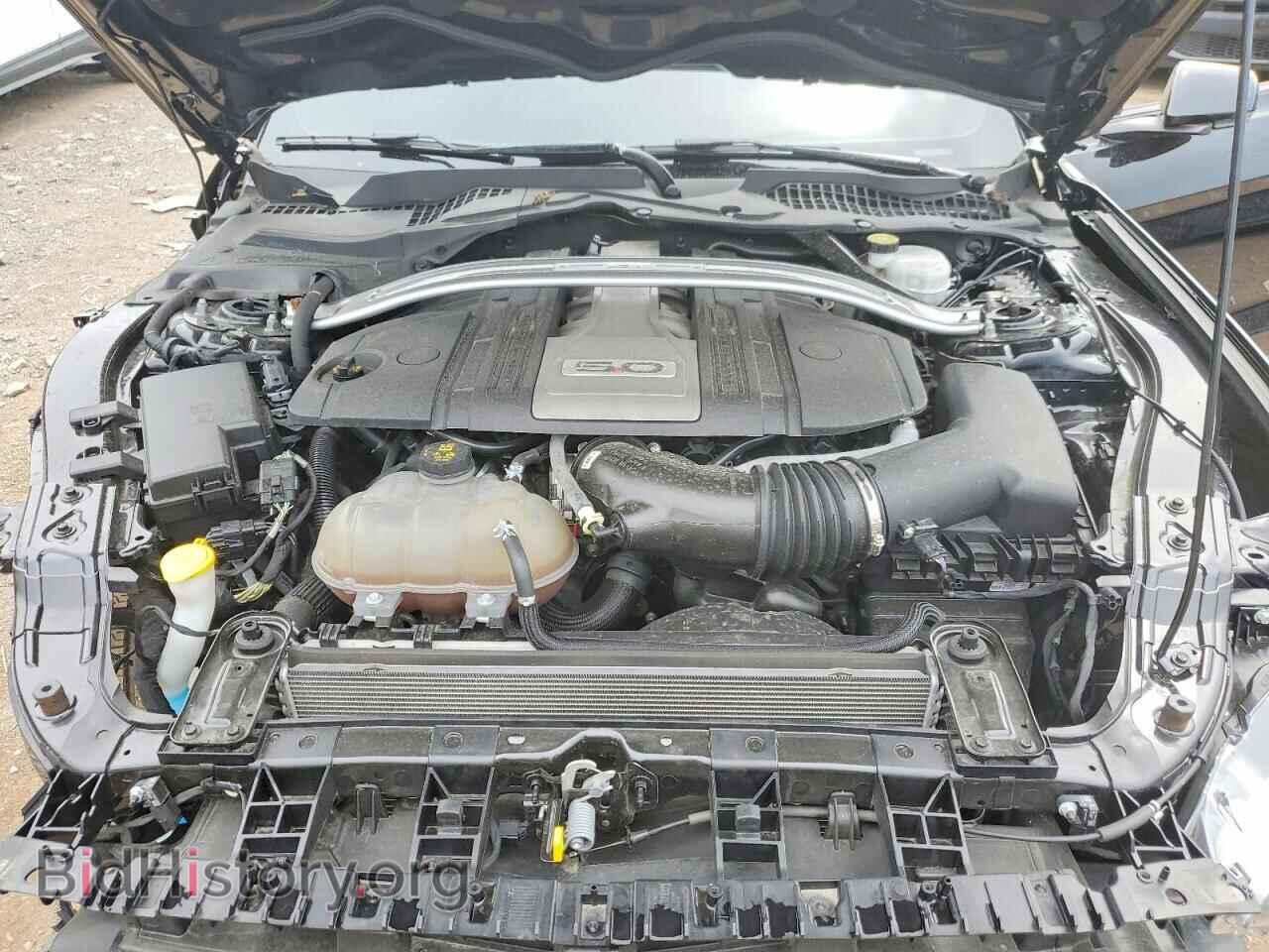 2019 FORD MUSTANG - VIN: 1FA6P8CF7K5146573 - Фото 11