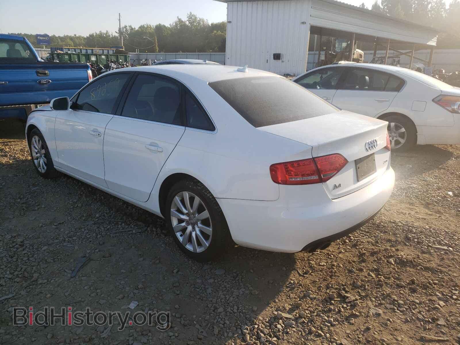 2010 AUDI A4 - VIN: WAUEFAFL5AN011640 - Фото 3