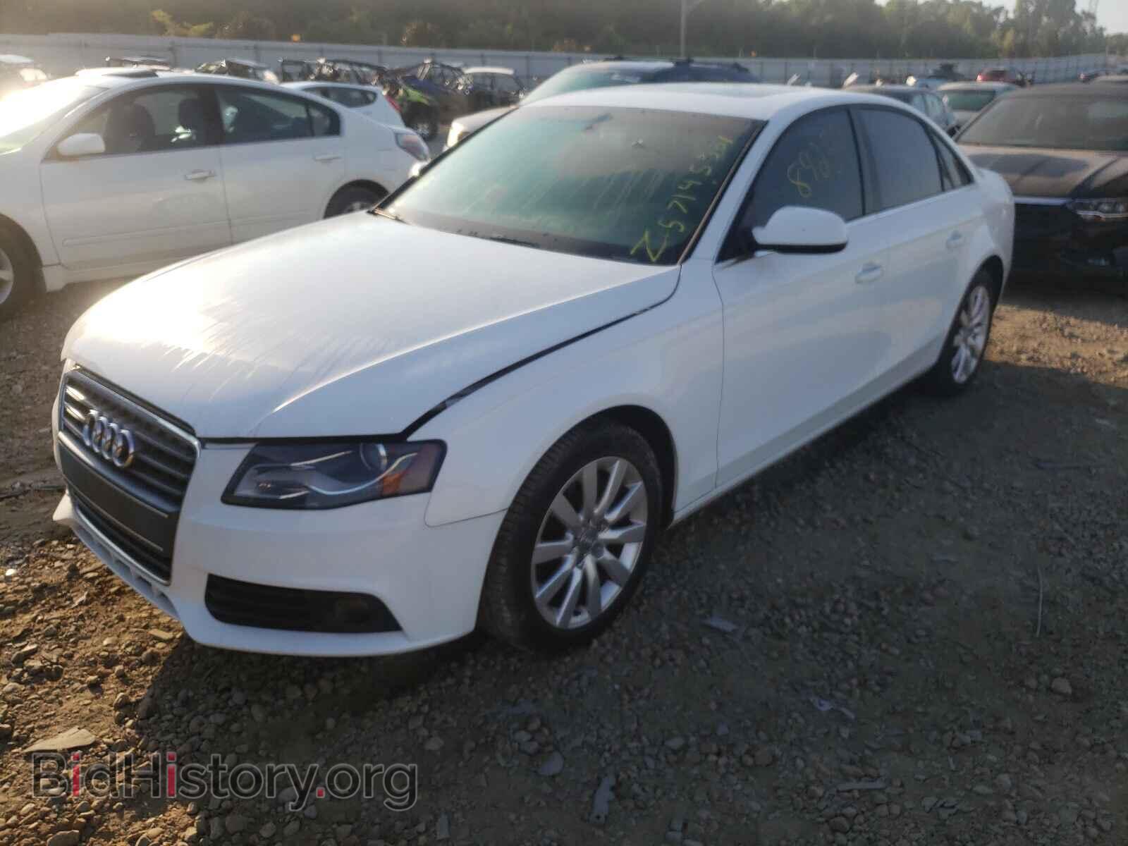 2010 AUDI A4 - VIN: WAUEFAFL5AN011640 - Фото 9