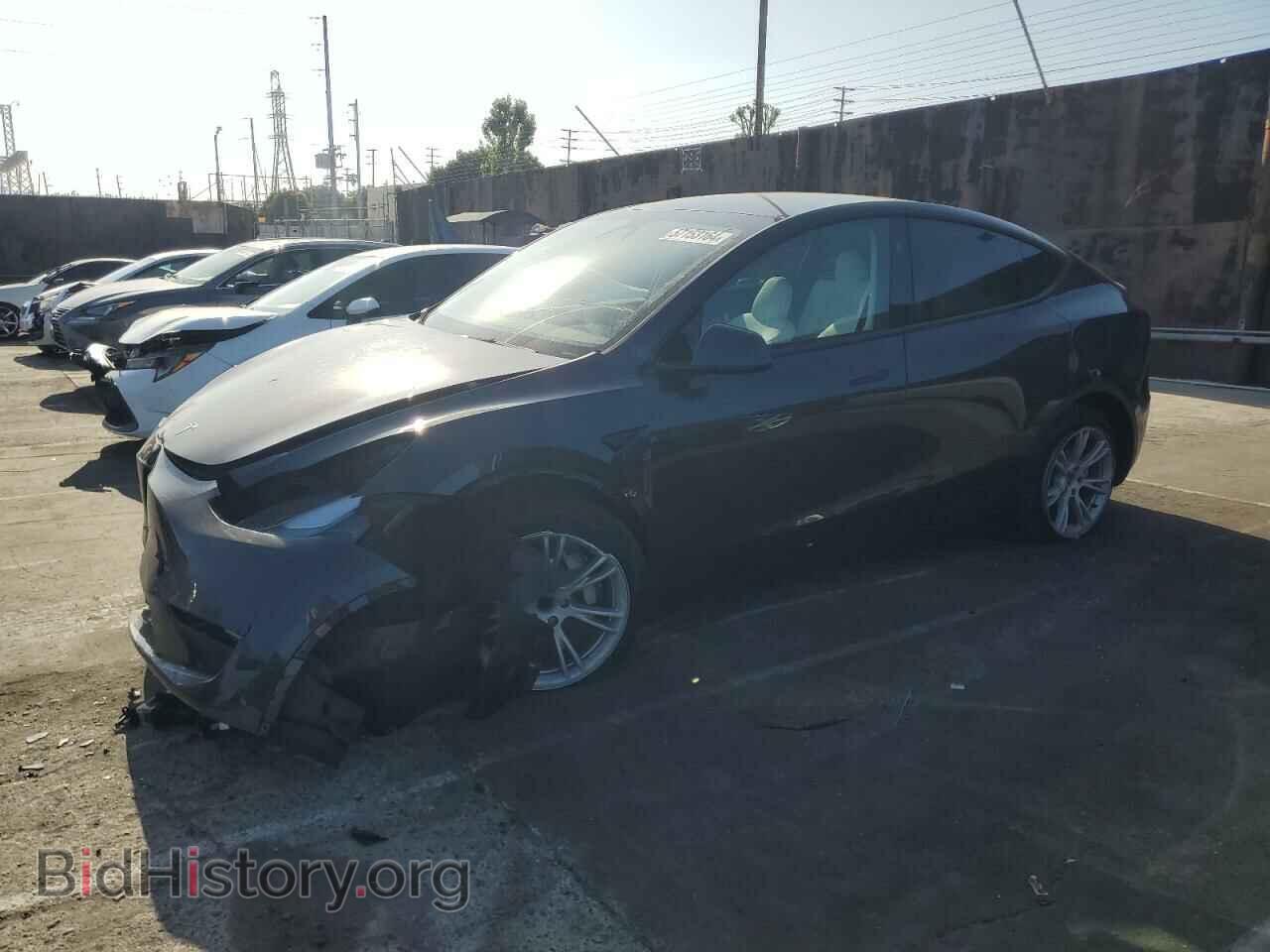 Фотография 7SAYGDED4RF051925 - TESLA MODEL Y 2024