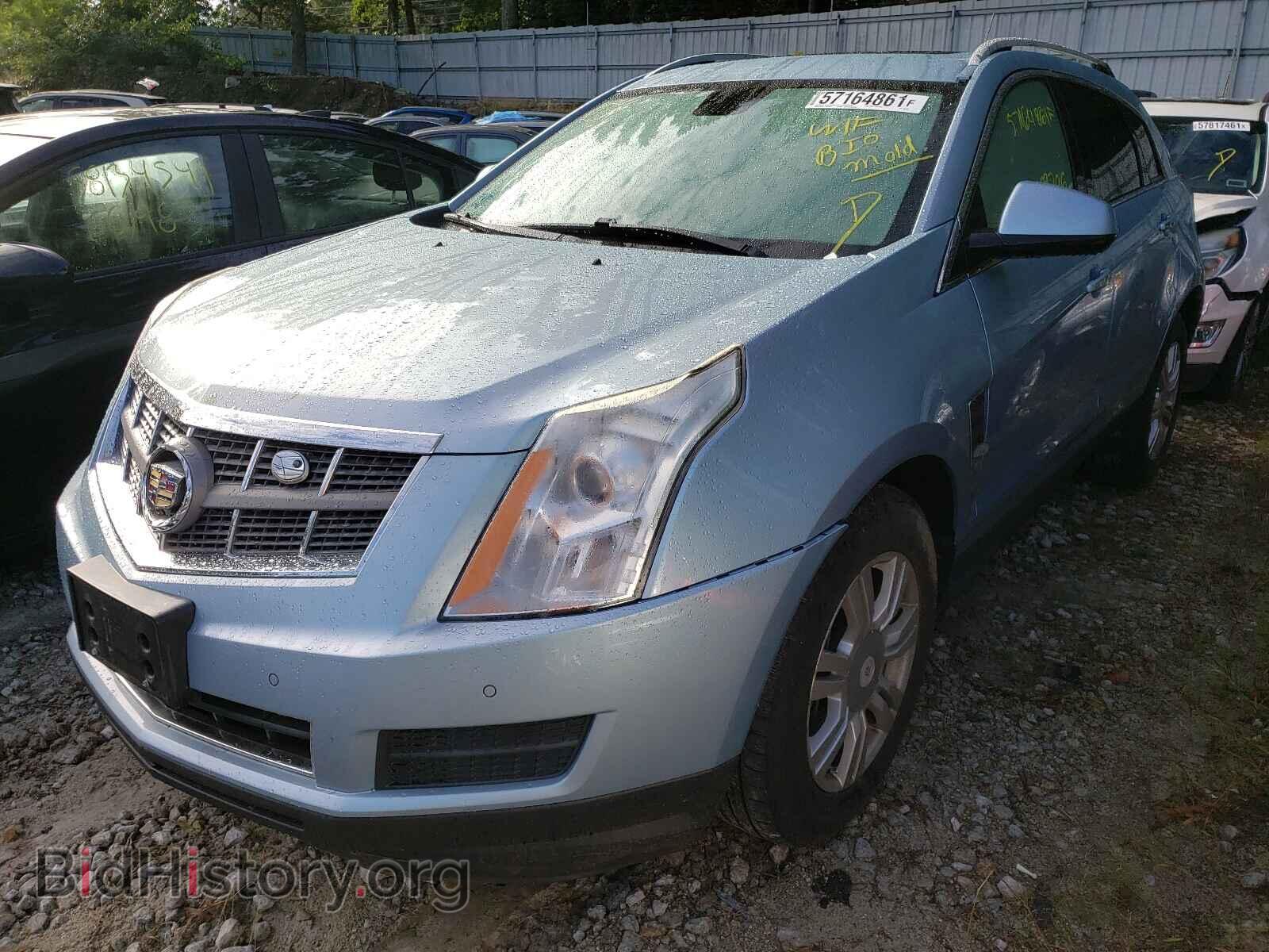 2011 CADILLAC SRX - VIN: 3GYFNDEY2BS583436 - Фото 2