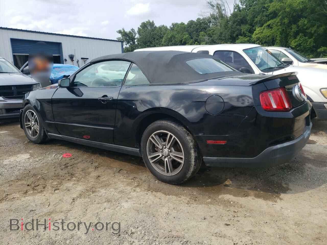 2010 FORD ALL Models - VIN: 1ZVBP8EN1A5111892 - Фото 2