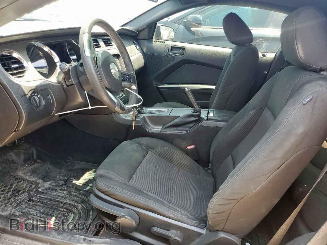 2010 FORD ALL Models - VIN: 1ZVBP8AN1A5138015 - Фото 7