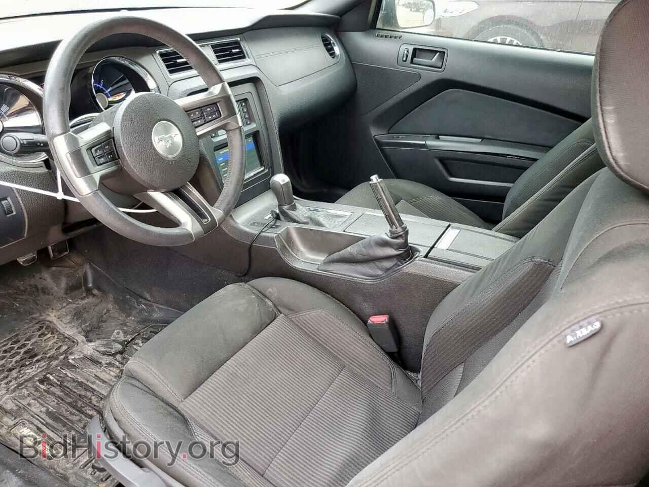 2010 FORD ALL Models - VIN: 1ZVBP8AN1A5138015 - Фото 8